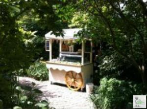 Ice Cream Cart Hire London and Essex Weddings And Corporate