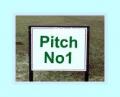 Pitch For Sale With Van